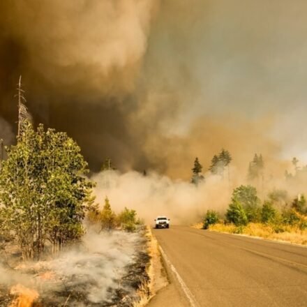 Multiple wildfires are burning across the Washington state. (UnSplash)