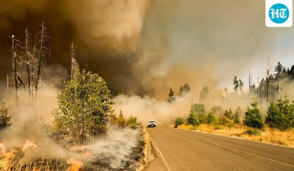 Multiple wildfires are burning across the Washington state. (UnSplash)