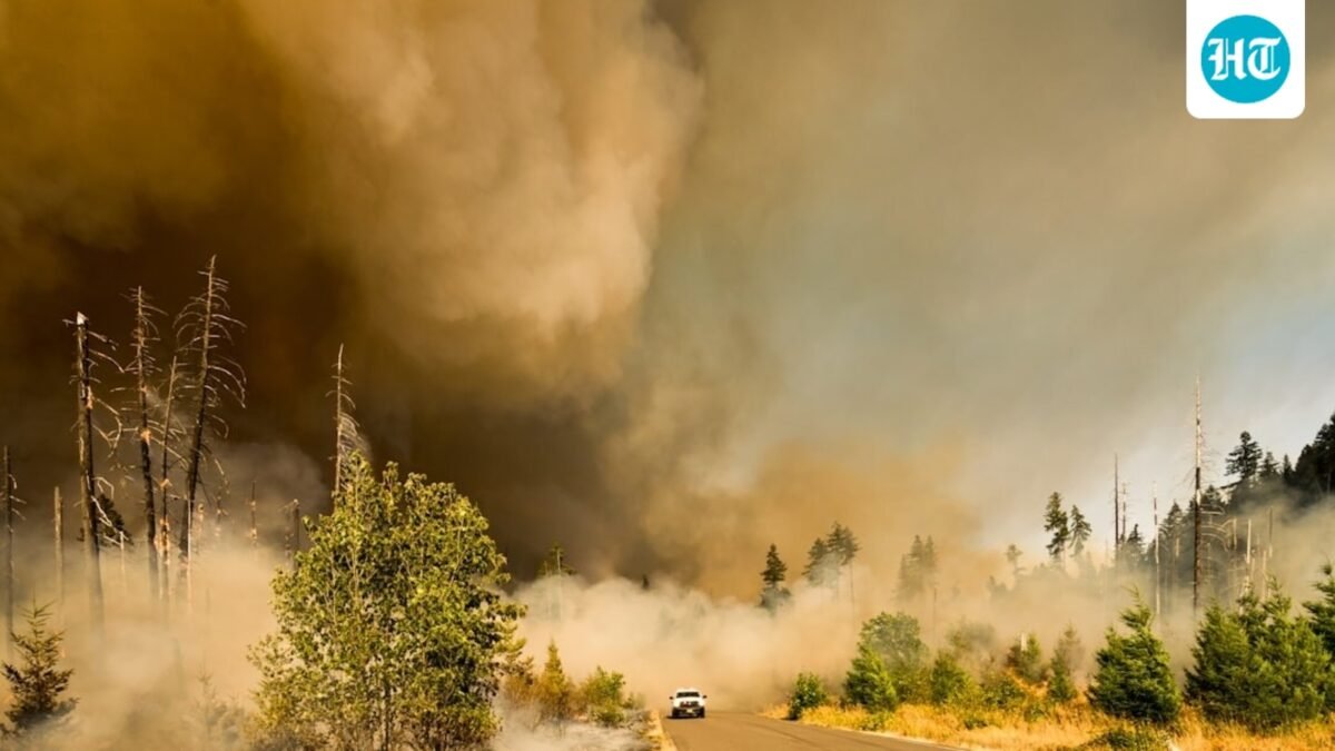 Dangerous wildfire burning in Velma, Oklahoma. (UnSplash)
