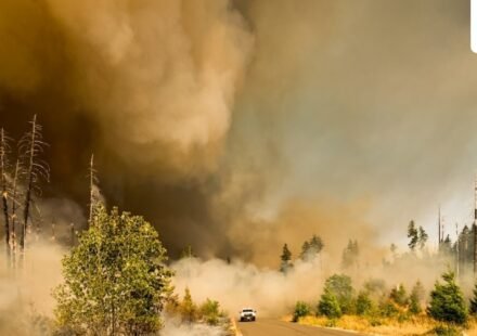Dangerous wildfire burning in Velma, Oklahoma. (UnSplash)