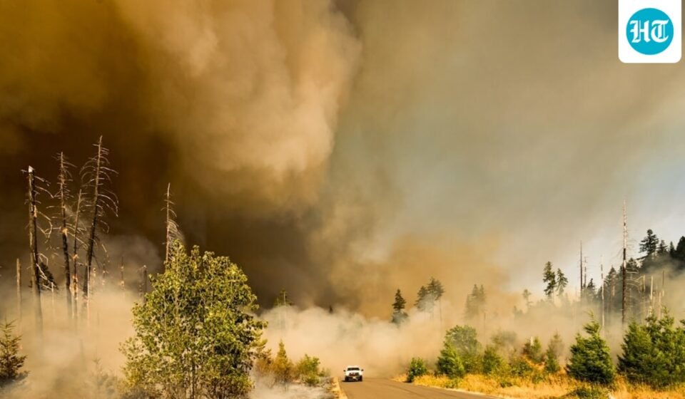 Dangerous wildfire burning in Velma, Oklahoma. (UnSplash)
