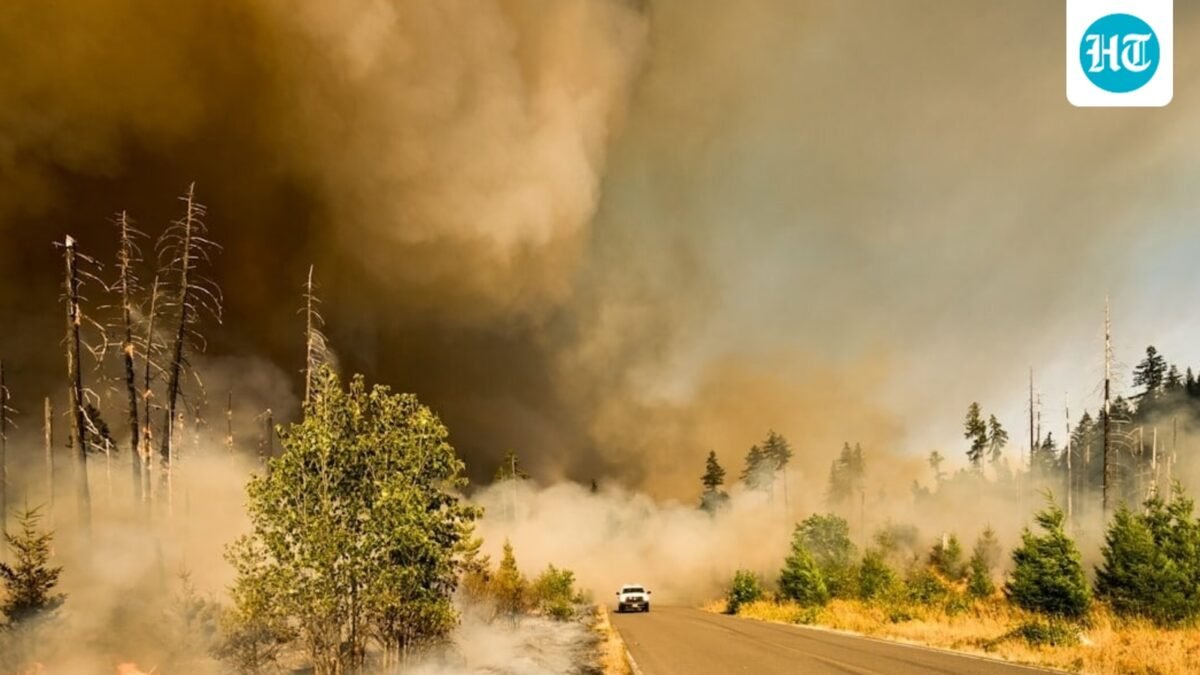 Burbank Walnut Fire (Unsplash/ representative image)
