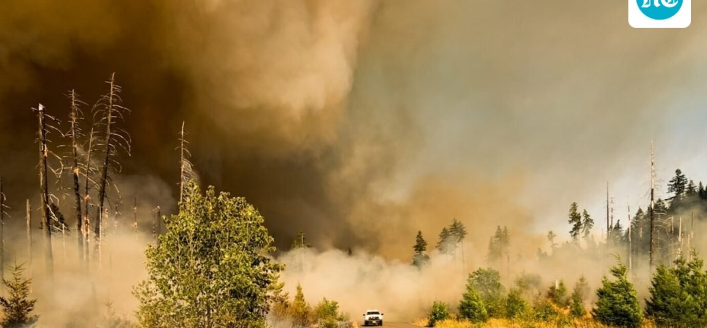 Burbank Walnut Fire (Unsplash/ representative image)