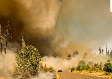 Burbank Walnut Fire (Unsplash/ representative image)