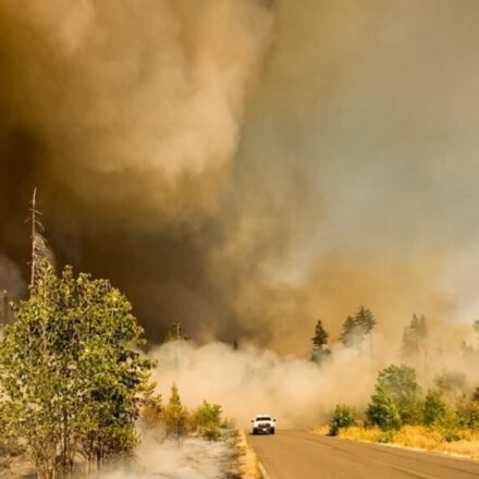 Burbank Walnut Fire (Unsplash/ representative image)