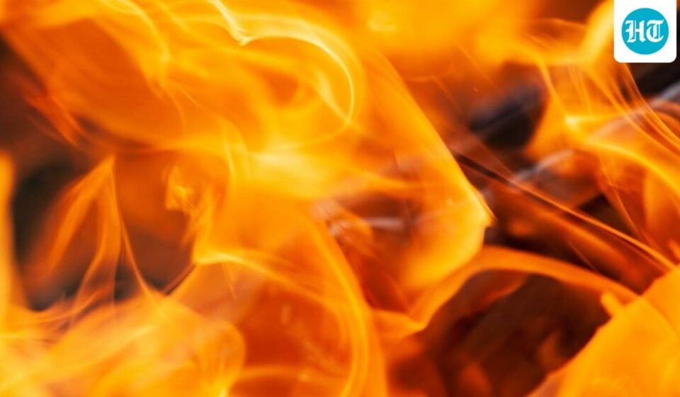 A vegetation fire burning near Sorrento Valley in San Diego has led to multiple road closures and evacuations. (UnSplash)