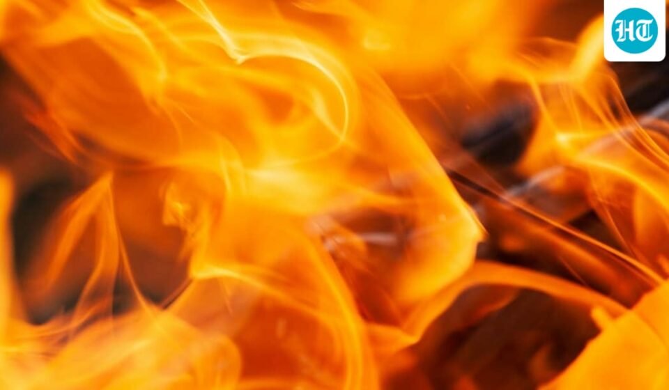 A large fire has been reported near Highway 290 and Decker in Northeast Austin, Texas.. (UnSplash)