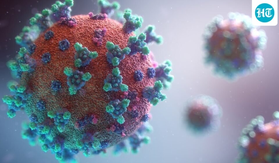 COVID-19 cases are climbing across the United States as the virus enters another seasonal wave. (Unsplash)
