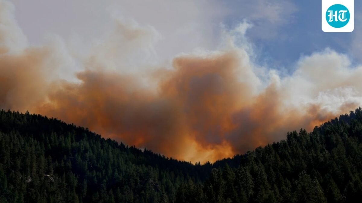 A fire was reported in Mount Lemmon, Arizona. Image for representational purposes. (Unsplash)