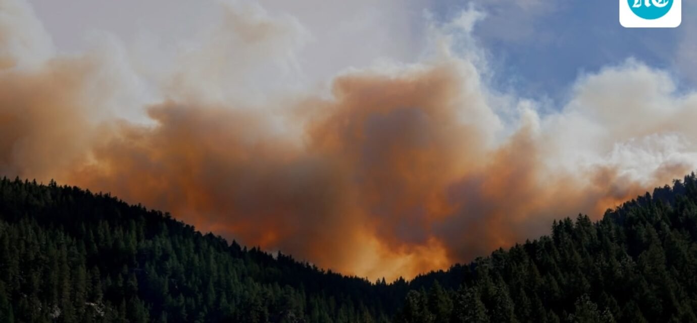 A fire was reported in Mount Lemmon, Arizona. Image for representational purposes. (Unsplash)