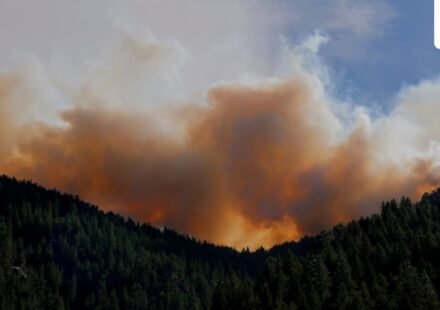 A fire was reported in Mount Lemmon, Arizona. Image for representational purposes. (Unsplash)