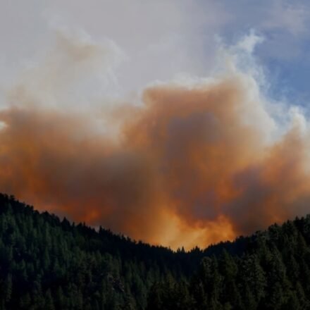 A fire was reported in Mount Lemmon, Arizona. Image for representational purposes. (Unsplash)