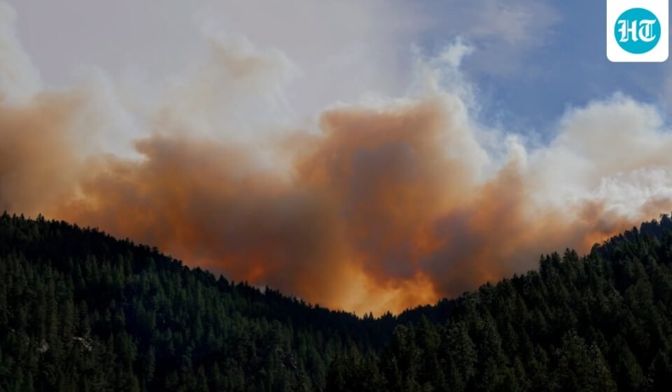 A fire was reported in Mount Lemmon, Arizona. Image for representational purposes. (Unsplash)