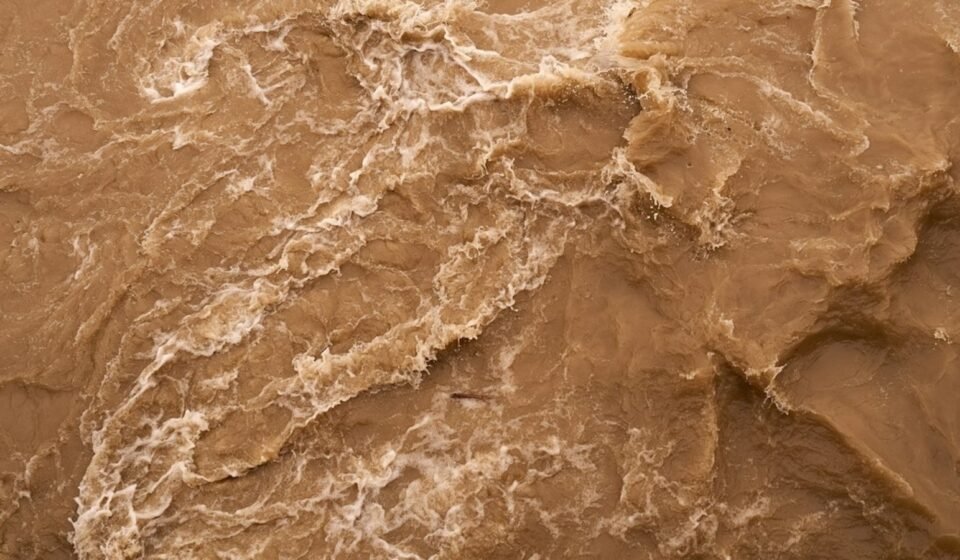 Rescue teams evacuated dozens after a flash flood destroyed bridges and trails in the Grand Canyon's Bright Angel Creek area. (Unsplash/ representative image)