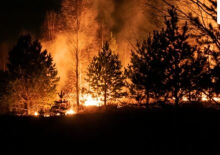 Wildfire burning in Mabton, Yakima County, WA. (UnSplash)