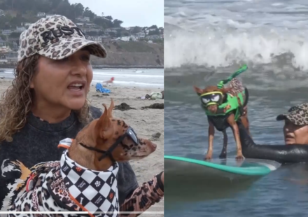 ​From cancer survivors to surfing stars: California woman and her dog beat cancer before competing together at the World Dog Surfing Championships