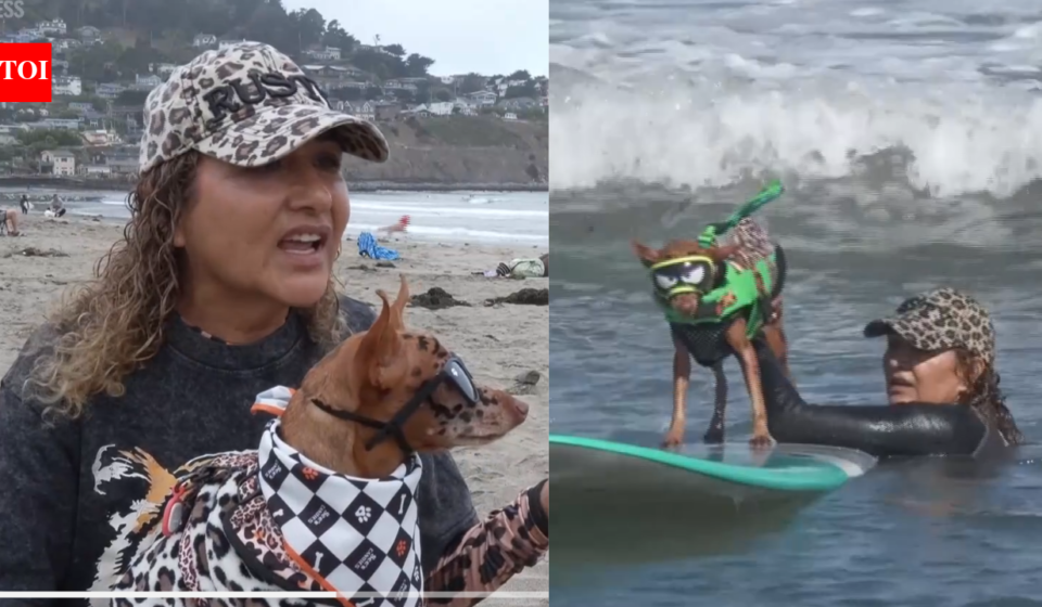 ​From cancer survivors to surfing stars: California woman and her dog beat cancer before competing together at the World Dog Surfing Championships