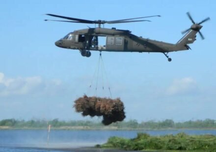 New Orleans collected 9,000 discarded Christmas trees and airlifted them into coastal wetlands; the programme has restored marsh equal to nearly 200 football fields