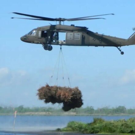 New Orleans collected 9,000 discarded Christmas trees and airlifted them into coastal wetlands; the programme has restored marsh equal to nearly 200 football fields