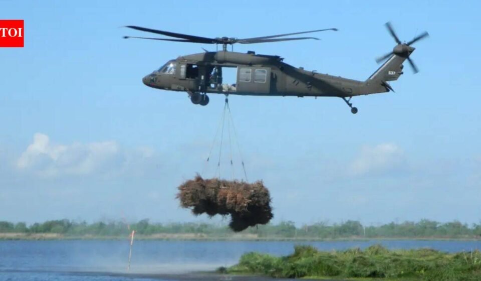 New Orleans collected 9,000 discarded Christmas trees and airlifted them into coastal wetlands; the programme has restored marsh equal to nearly 200 football fields
