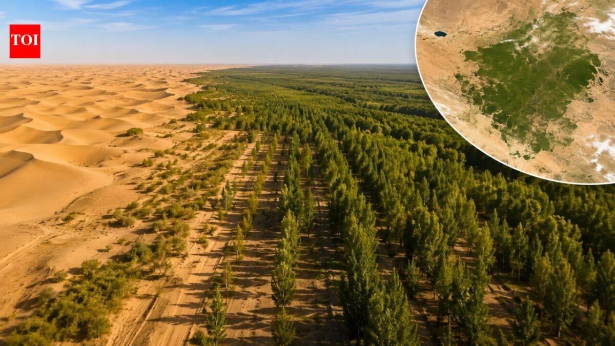 China planted trees the Taklamakan Desert for nearly 50 years. Satellites now show the landscape is capturing more carbon than it releases