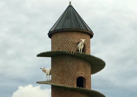 <b>Inside Portugal’s 19th-century goat tower, where dwarf goats climb a spiral ramp to a three-storey home</b>