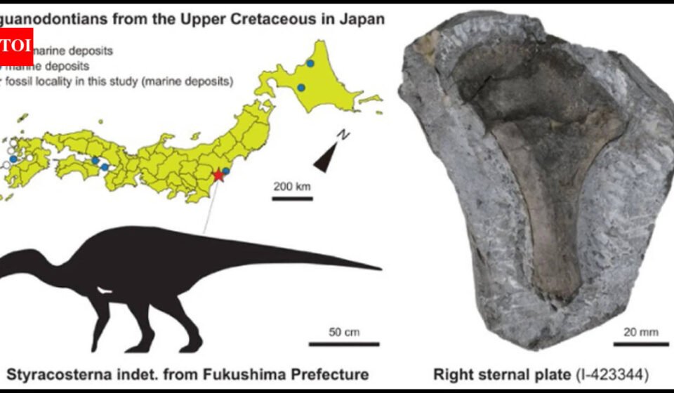 In 1999, a dinosaur bone was found on Japan’s Fukushima coast and left unstudied; in 2026, scientists identified it belonged to a 3-metre iguanodontian that lived 90 million years ago