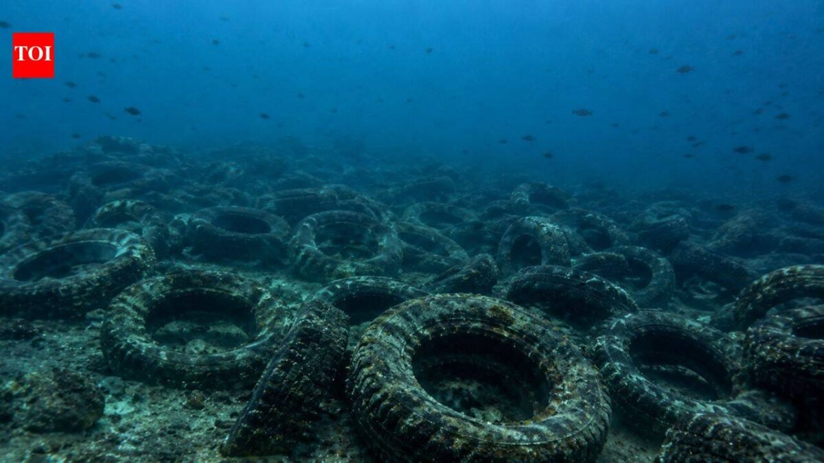 Florida dumped millions of tyres into the ocean to build a reef. More than 50 years later, it is still cleaning them up