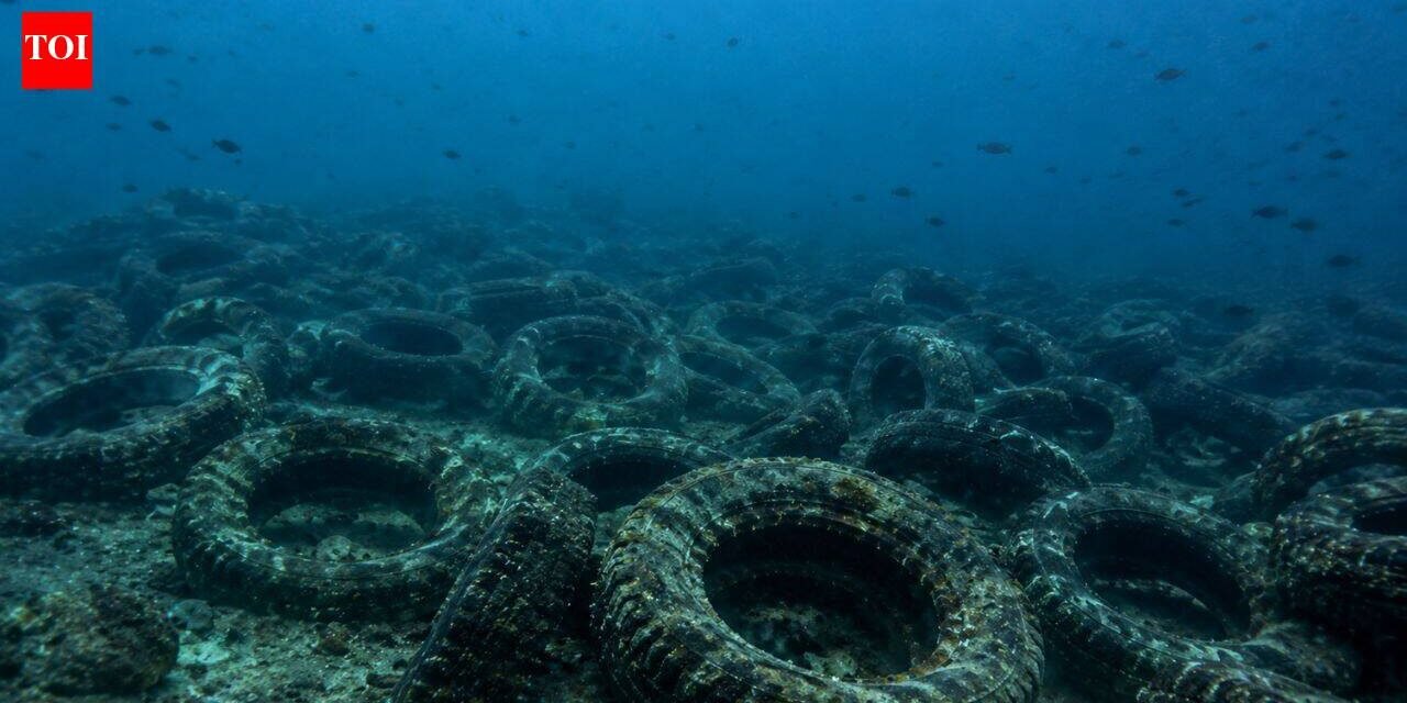 Florida dumped millions of tyres into the ocean to build a reef. More than 50 years later, it is still cleaning them up