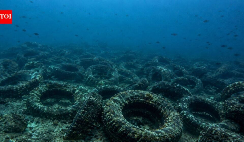 Florida dumped millions of tyres into the ocean to build a reef. More than 50 years later, it is still cleaning them up