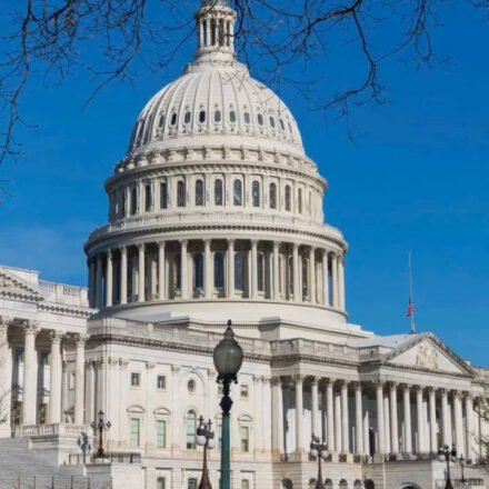 US Democrats eye probes into Trump-linked firms over impeachment if they regain House control: Report
