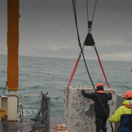 Britain is dropping 20 concrete reef cubes and 44 tons of scallop shells into the sea in the hope to bring back its native oysters who have reduced by 95% since 1800s