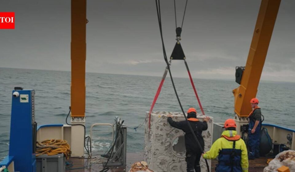 Britain is dropping 20 concrete reef cubes and 44 tons of scallop shells into the sea in the hope to bring back its native oysters who have reduced by 95% since 1800s