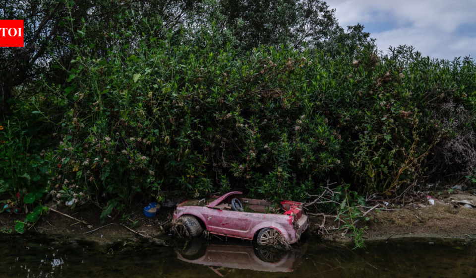 In 1986, a California city began polishing sewage through constructed marshes; the 307-acre system is now a wildlife sanctuary that has hosted over 300 bird species