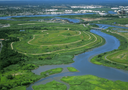 In the 1990s, New York chose wetlands over conventional storm sewers on Staten Island; the Bluebelt strategy saved taxpayers $80 million in infrastructure costs