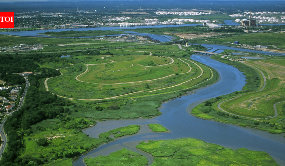 In the 1990s, New York chose wetlands over conventional storm sewers on Staten Island; the Bluebelt strategy saved taxpayers $80 million in infrastructure costs