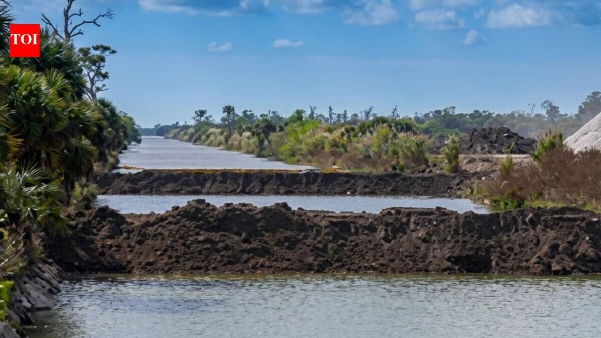 In the 1960s, Florida drained land for a giant subdivision; in 2026, restoration finished after removing 260 miles of roads and plugging 48 miles of canals across 55,000 acres