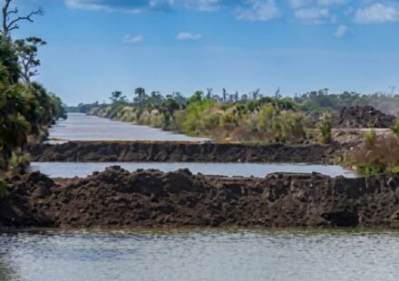 In the 1960s, Florida drained land for a giant subdivision; in 2026, restoration finished after removing 260 miles of roads and plugging 48 miles of canals across 55,000 acres