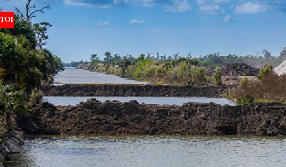 In the 1960s, Florida drained land for a giant subdivision; in 2026, restoration finished after removing 260 miles of roads and plugging 48 miles of canals across 55,000 acres