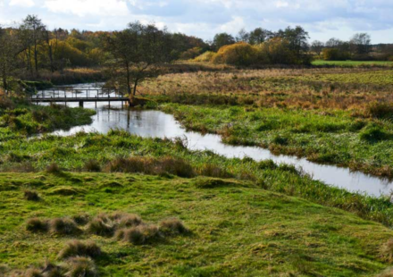 In 2001, Denmark began turning 19 km of straightened River Skjern into 26 km of bends; researchers later found some lost habitats may take centuries to return