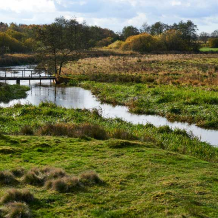 In 2001, Denmark began turning 19 km of straightened River Skjern into 26 km of bends; researchers later found some lost habitats may take centuries to return