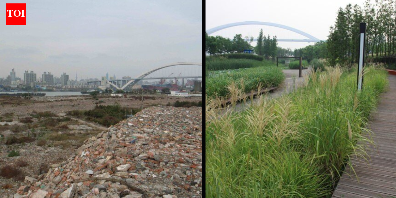 In 2010, Shanghai turned a polluted industrial brownfield into Houtan Park; its wetlands now clean up to 634,000 gallons of river water a day