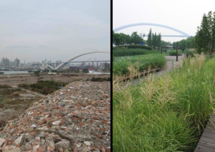 In 2010, Shanghai turned a polluted industrial brownfield into Houtan Park; its wetlands now clean up to 634,000 gallons of river water a day