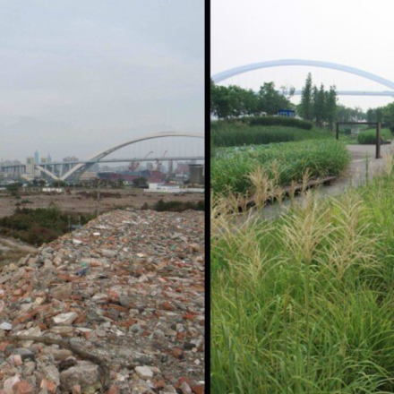 In 2010, Shanghai turned a polluted industrial brownfield into Houtan Park; its wetlands now clean up to 634,000 gallons of river water a day