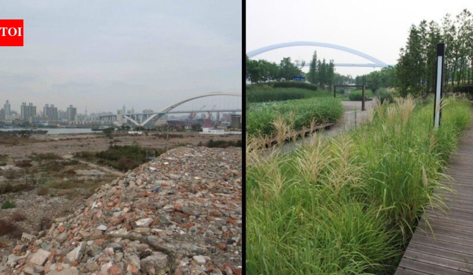 In 2010, Shanghai turned a polluted industrial brownfield into Houtan Park; its wetlands now clean up to 634,000 gallons of river water a day