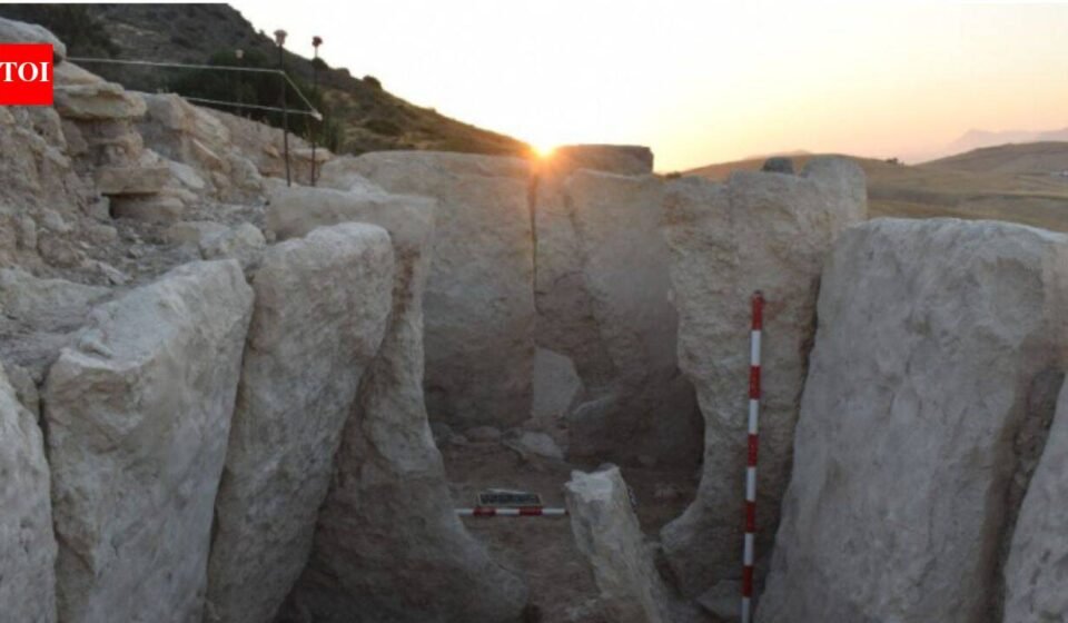 Archaeologists in Málaga uncovered a 13-metre megalithic tomb more than 5,000 years old; ivory, amber and seashells point to long-distance exchange networks