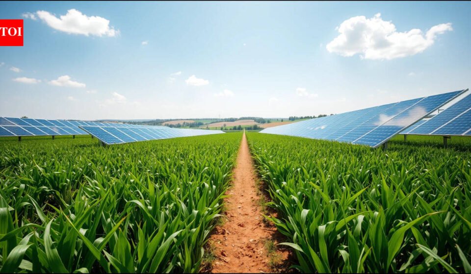 A Colorado farmer put 3,276 solar panels over his crops, and the shade created cooler conditions for heat-sensitive plants