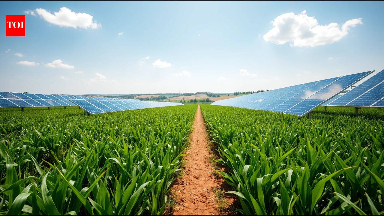 A Colorado farmer put 3,276 solar panels over his crops, and the shade created cooler conditions for heat-sensitive plants