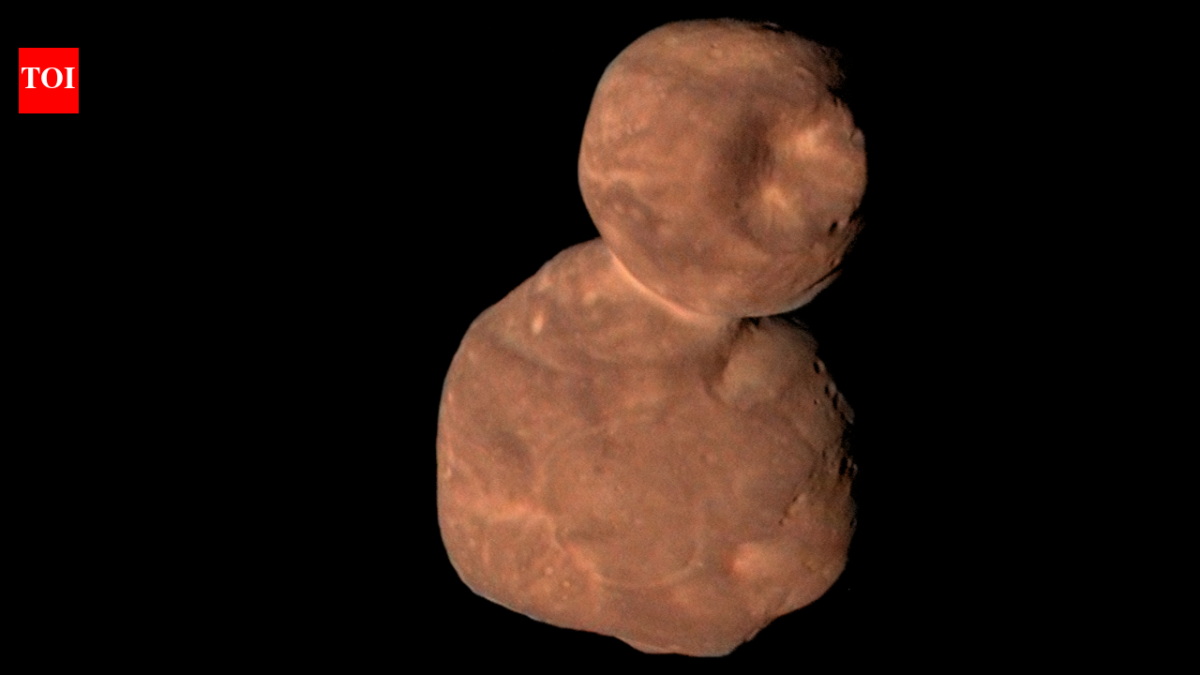 Nasa’s New Horizons reached Arrokoth in 2019, revealing a frozen world that preserves clues to the early solar system