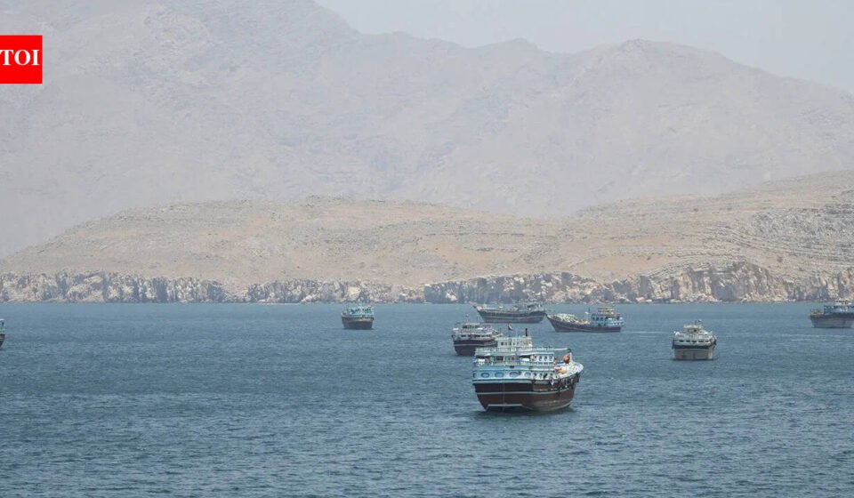 Middle East standoff: Why Gulf states may accept that Iran will control the Strait of Hormuz